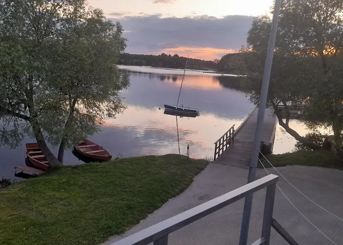Pas Vytauta